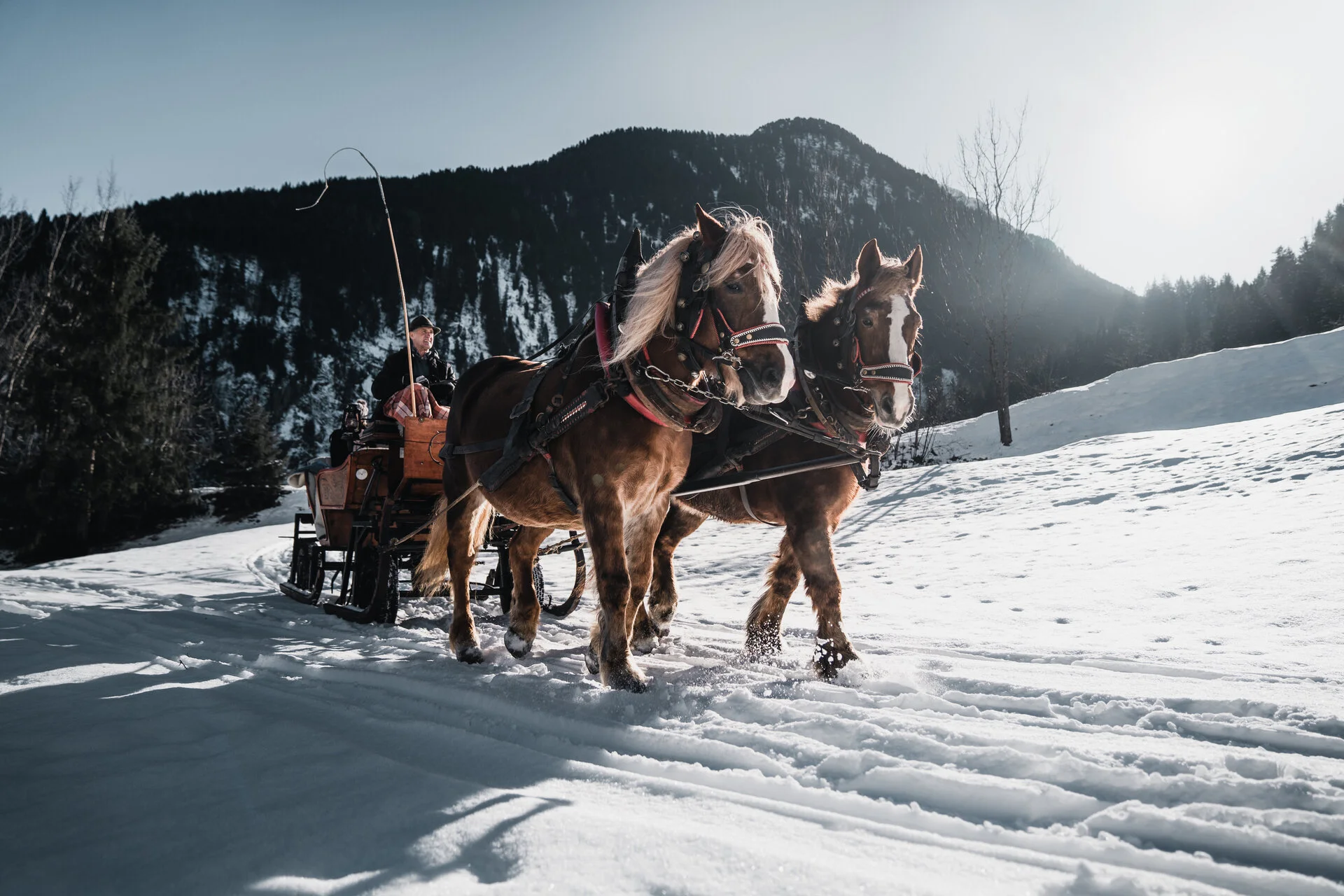 Kutsche im Schnee im Zillertal