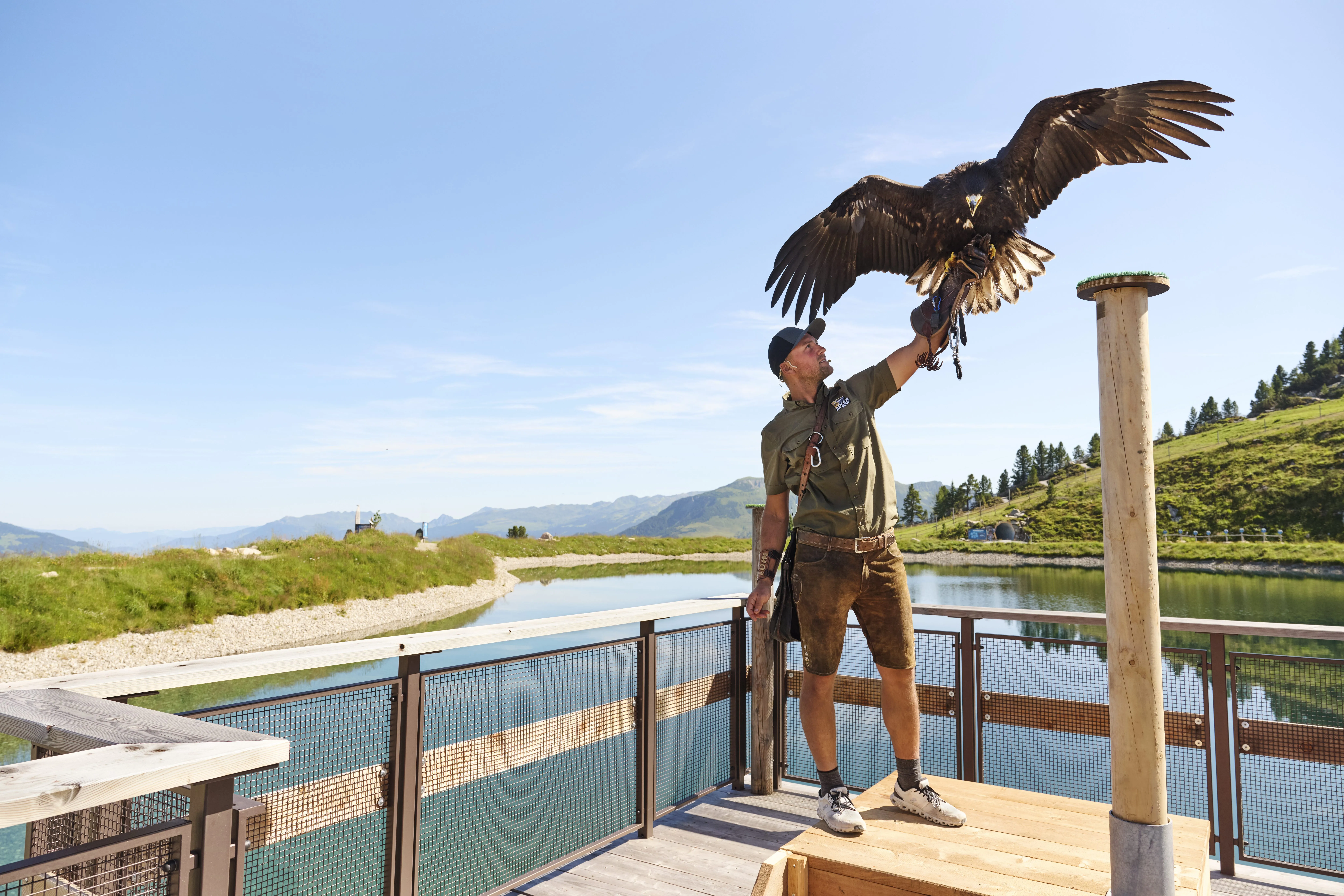 AdlerBühne Ahorn als populaire bezienswaardigheid in het Zillertal met adelaar en valkenier