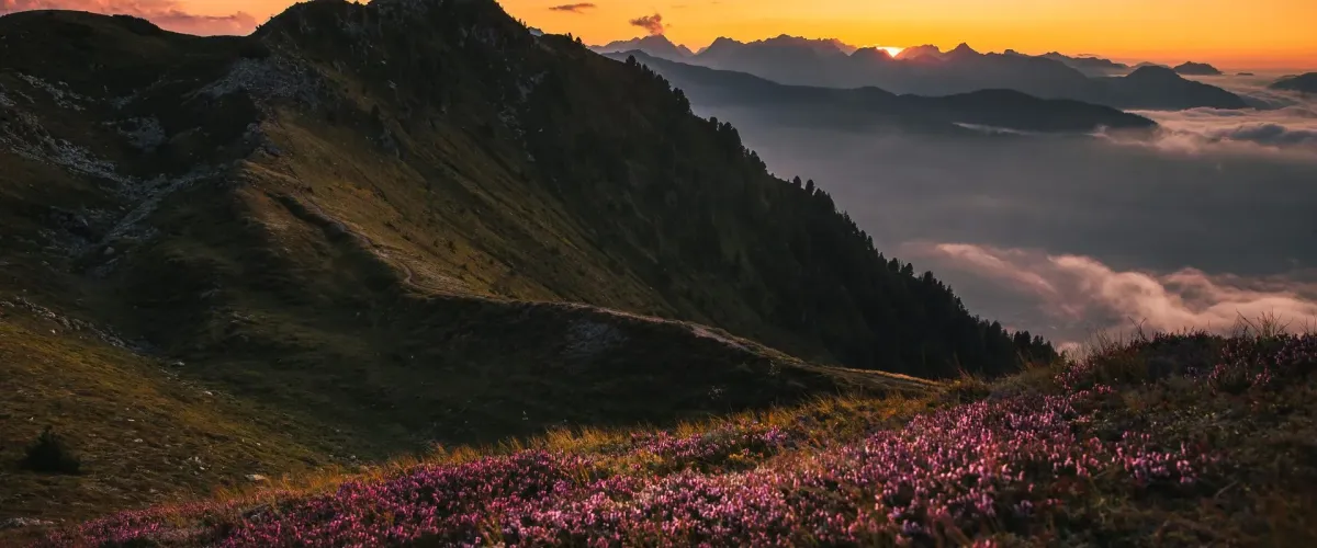 Berglandschap in het Zillertal in Tirol tijdens de avondsfeer